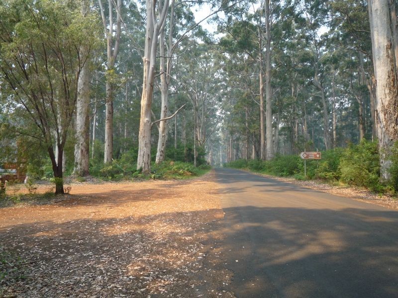 Lots 7489 Burma Road, Pemberton WA 6260