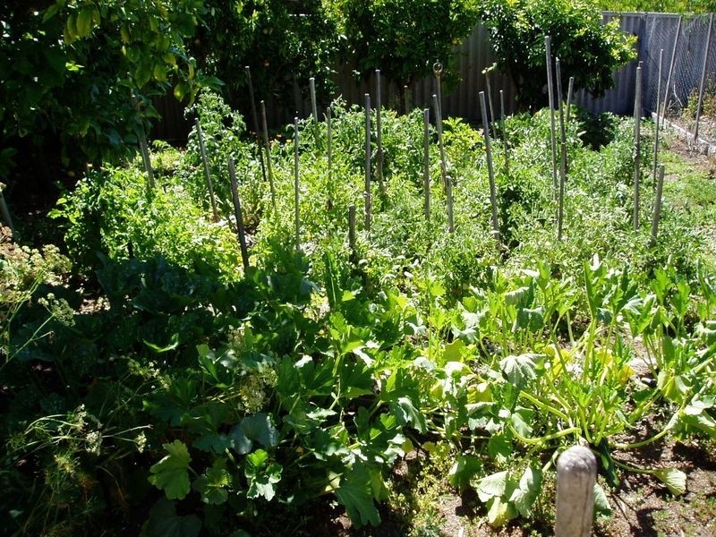 38 Brain Street, Manjimup WA 6258