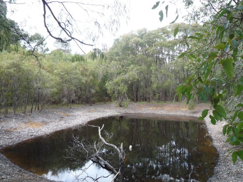 Lot 3 Stirling Rd, Pemberton WA 6260