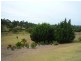 Lot 350 Blackbutt Drive, Manjimup WA 6258