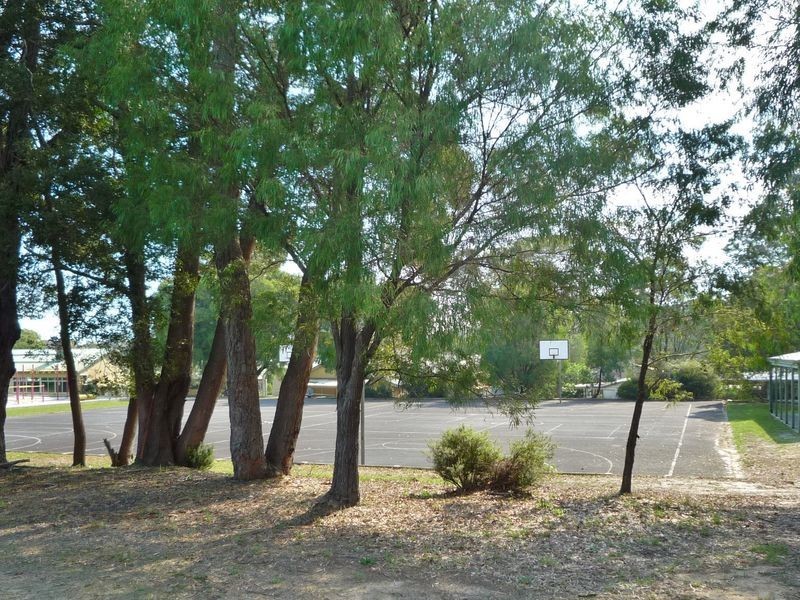 39 Meerup Street, Northcliffe WA 6262