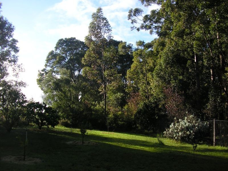 Lot 6785 Vasse Highway, Pemberton WA 6260