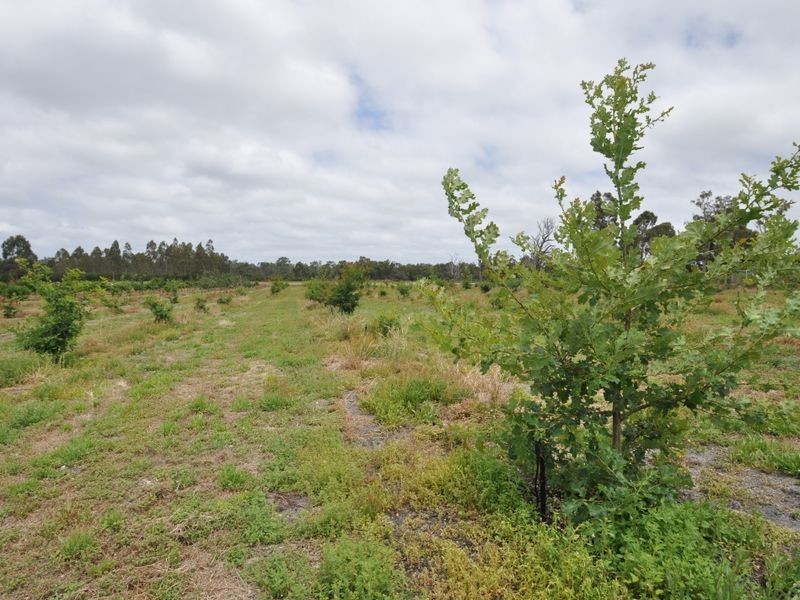 Lot 2 Vasse Highway, Pemberton WA 6260