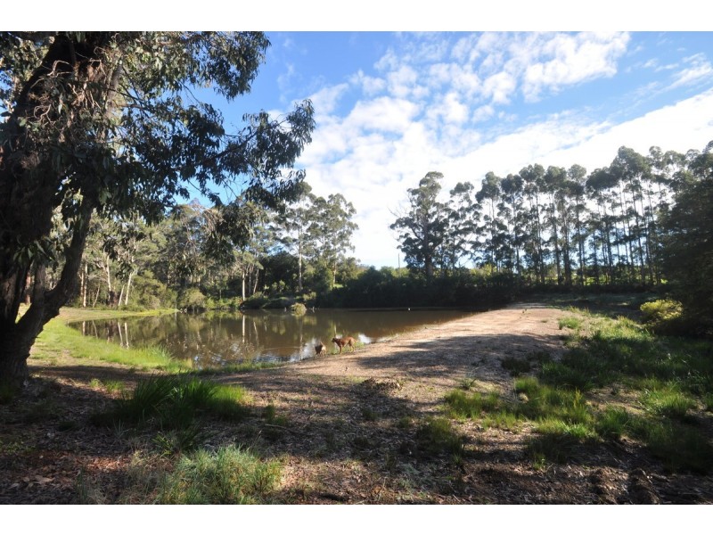 253 Old Vasse Road, Pemberton WA 6260