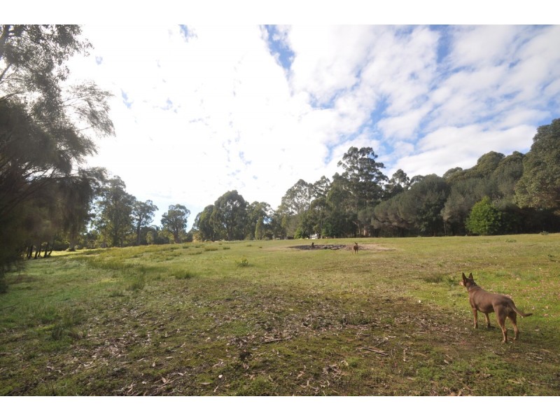 253 Old Vasse Road, Pemberton WA 6260