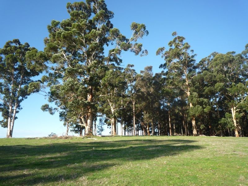 Lot 107 Wetherall Road, Pemberton WA 6260