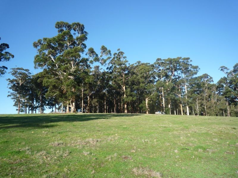 Lot 107 Wetherall Road, Pemberton WA 6260