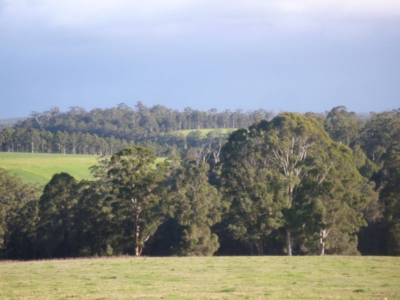 Lot 107 Wetherall Road, Pemberton WA 6260