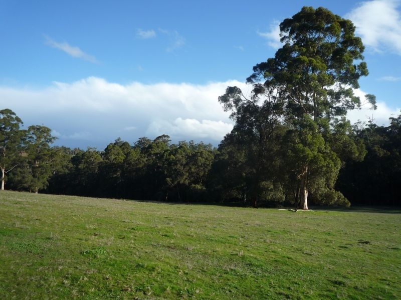 Lot 107 Wetherall Road, Pemberton WA 6260