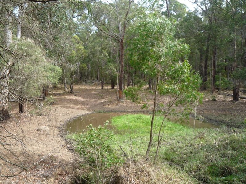 Lot 107 Wetherall Road, Pemberton WA 6260