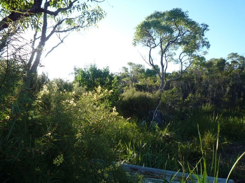 Lot 6 Sparsa Close, Northcliffe WA 6262