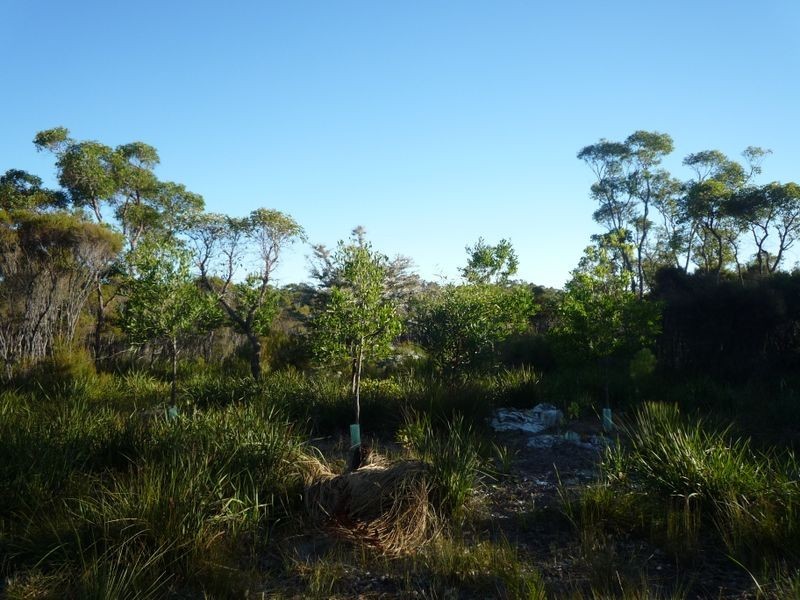 Lot 6 Sparsa Close, Northcliffe WA 6262