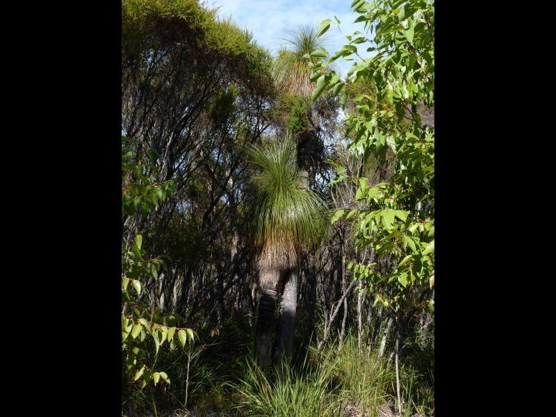 Lot 6 Sparsa Close, Northcliffe WA 6262