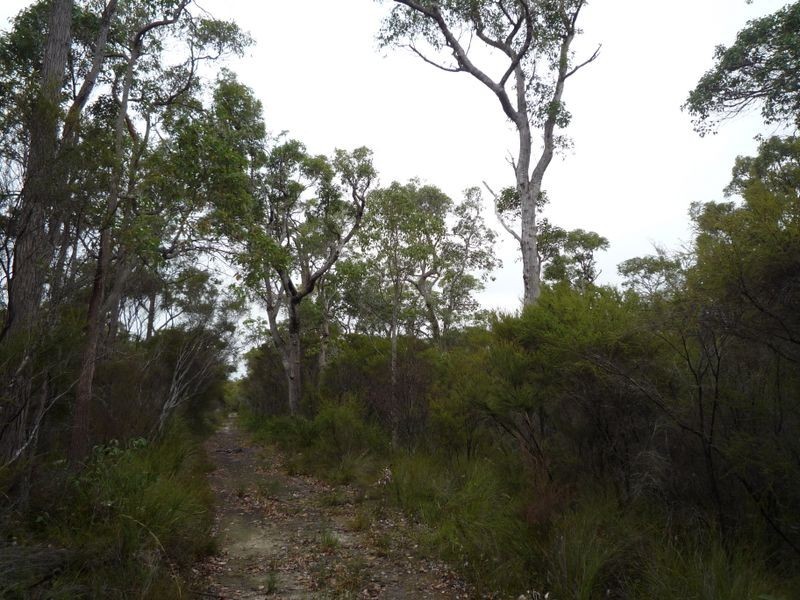 Lot 6 Sparsa Close, Northcliffe WA 6262