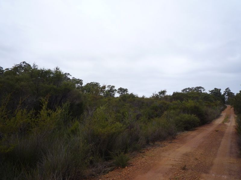 Lot 6 Sparsa Close, Northcliffe WA 6262