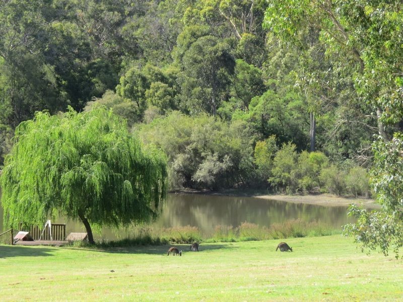 Lot 15 Dunnett Road, Pemberton WA 6260