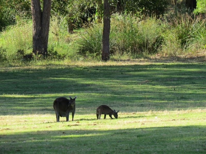 Lot 15 Dunnett Road, Pemberton WA 6260