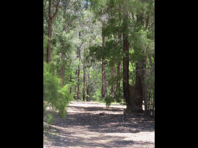 Lot 15 Dunnett Road, Pemberton WA 6260