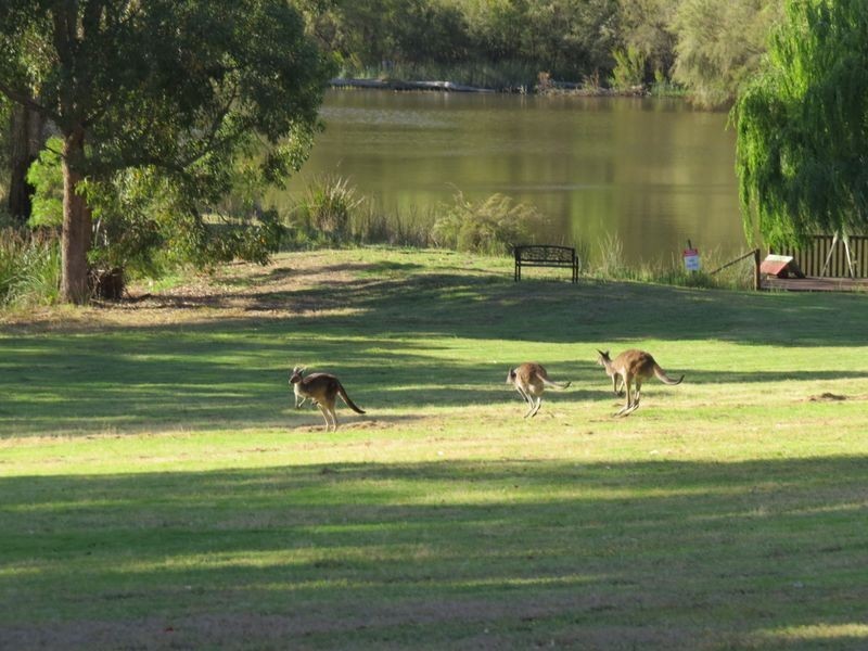 Lot 15 Dunnett Road, Pemberton WA 6260