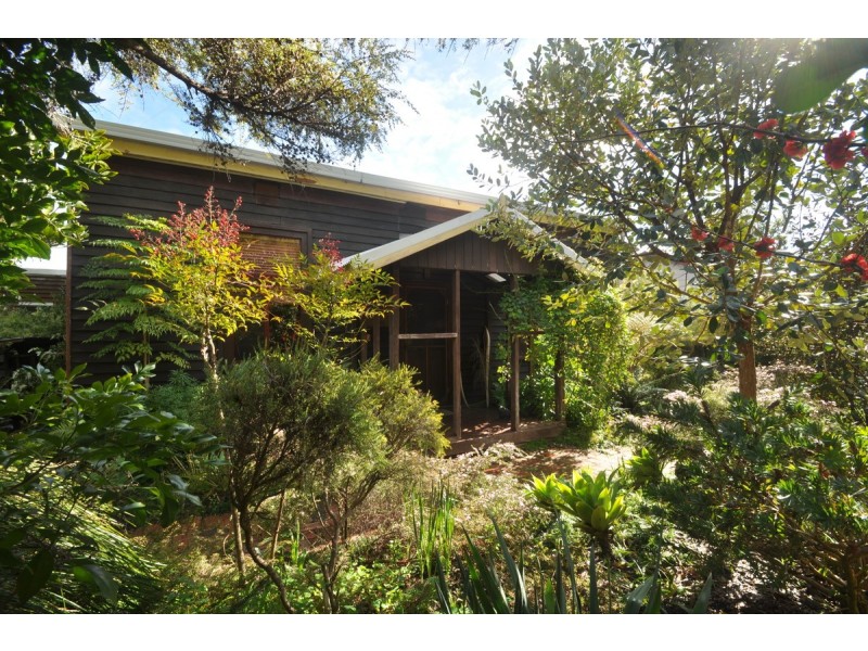 51 Guppy Street, Pemberton WA 6260