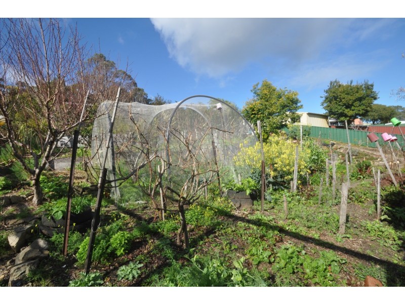 51 Guppy Street, Pemberton WA 6260