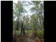Lot 43 Karri Lane, Quinninup WA 6258