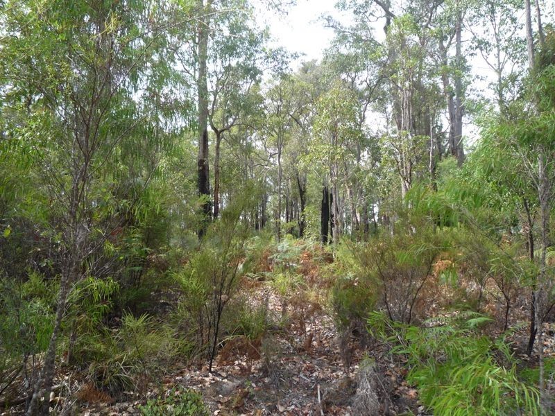 Lot 43 Karri Lane, Quinninup WA 6258