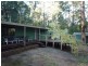 Lot 98 Karri Lane, Quinninup WA 6258