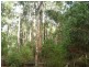 Lot 98 Karri Lane, Quinninup WA 6258