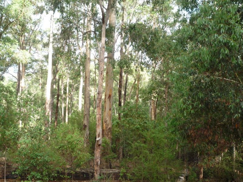 Lot 98 Karri Lane, Quinninup WA 6258