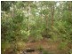 Lot 98 Karri Lane, Quinninup WA 6258