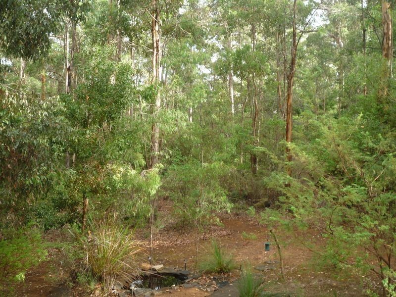 Lot 98 Karri Lane, Quinninup WA 6258