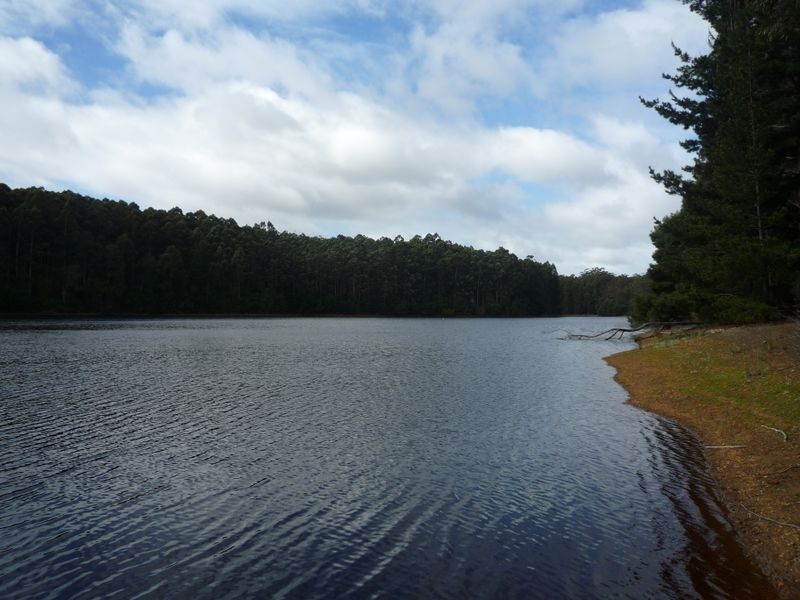 Lot 135 Karri Lane, Quinninup WA 6258