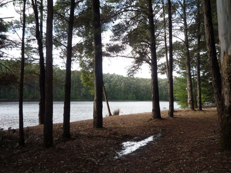 Lot 135 Karri Lane, Quinninup WA 6258