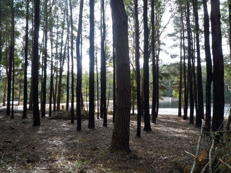 Lot 135 Karri Lane, Quinninup WA 6258