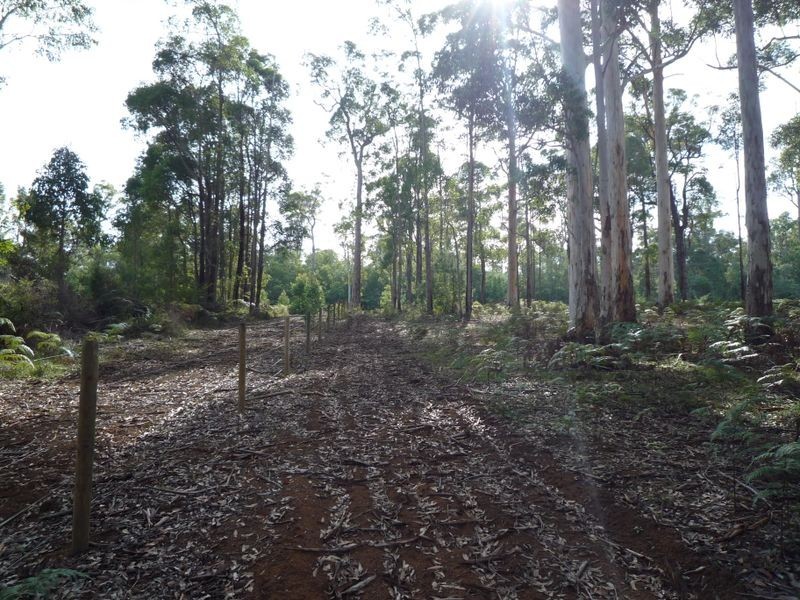 12 Browns Road, Pemberton WA 6260