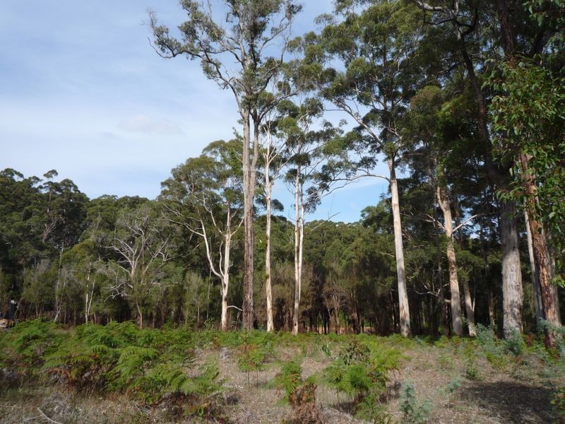 12 Browns Road, Pemberton WA 6260