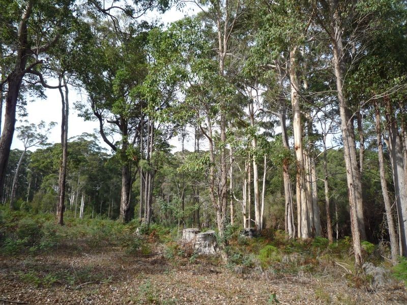 12 Browns Road, Pemberton WA 6260