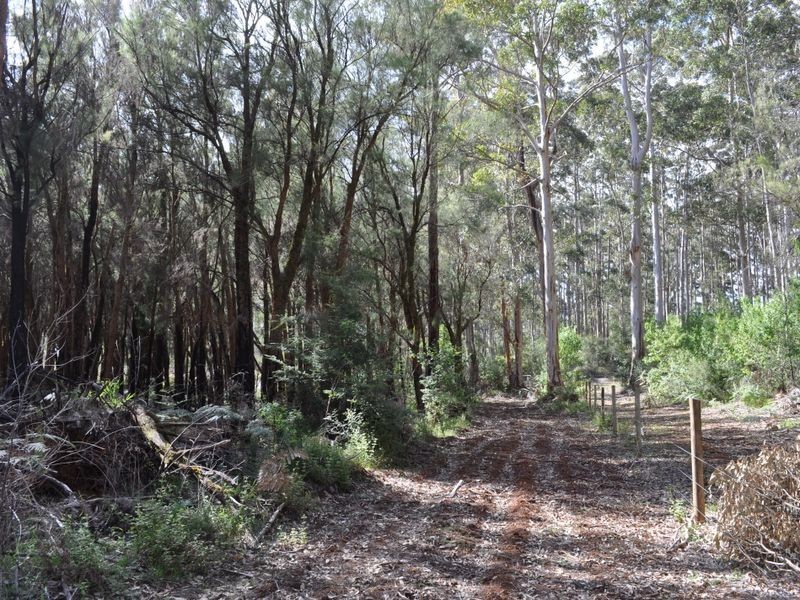 12 Browns Road, Pemberton WA 6260