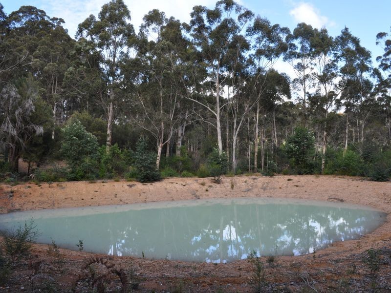 12 Browns Road, Pemberton WA 6260