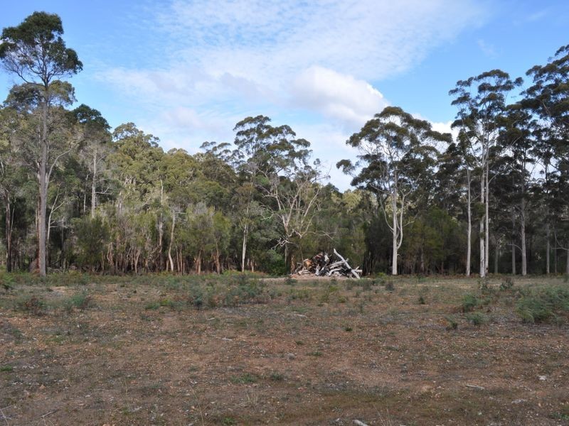 12 Browns Road, Pemberton WA 6260