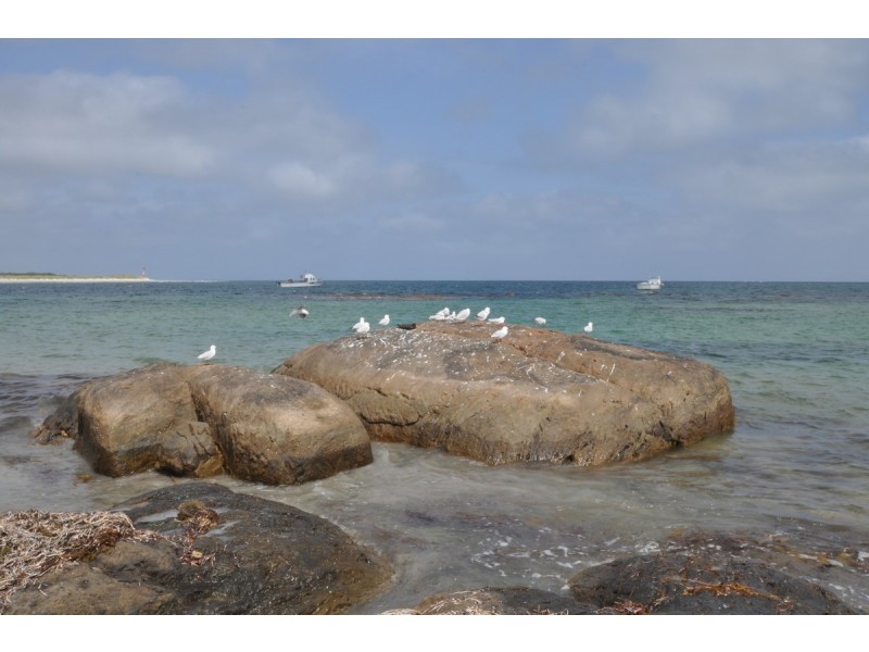 278 Evans Loop, Windy Harbour WA 6262