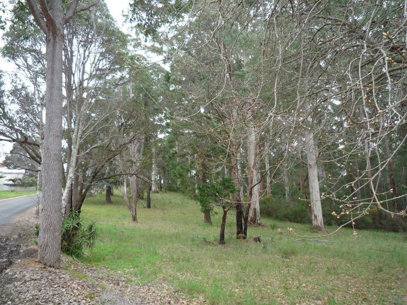 26 Forestry Glen, Pemberton WA 6260