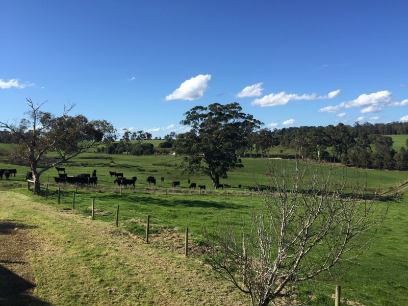 32 Pemberton Road North, Pemberton WA 6260