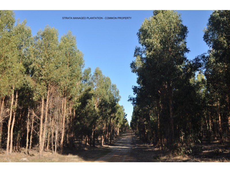 21 Folly Road, Frankland WA 6396