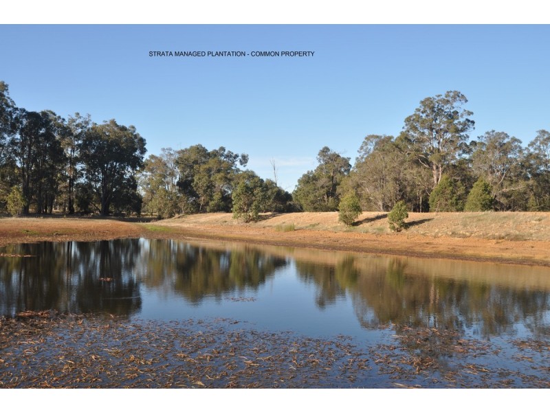 21 Folly Road, Frankland WA 6396