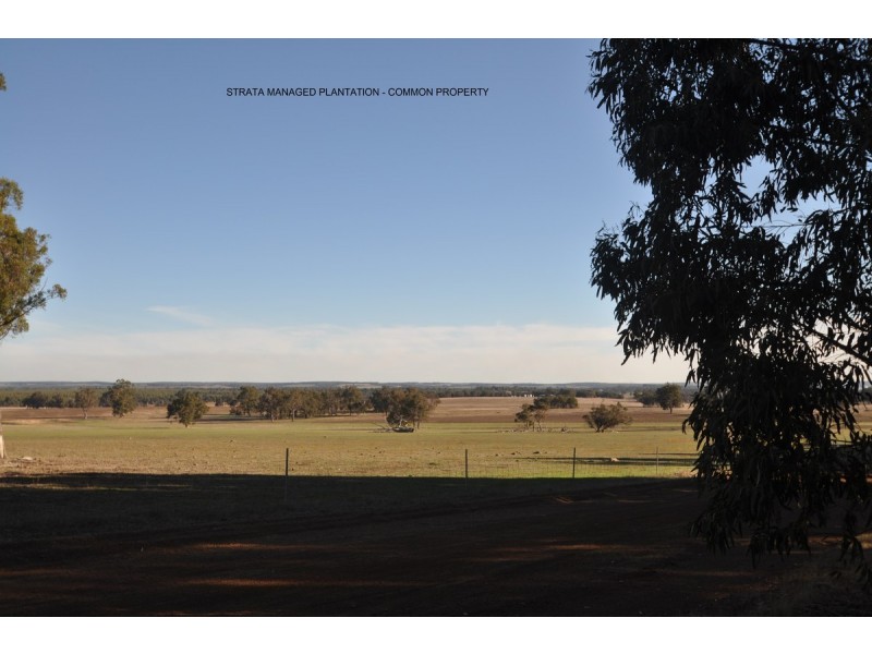 21 Folly Road, Frankland WA 6396