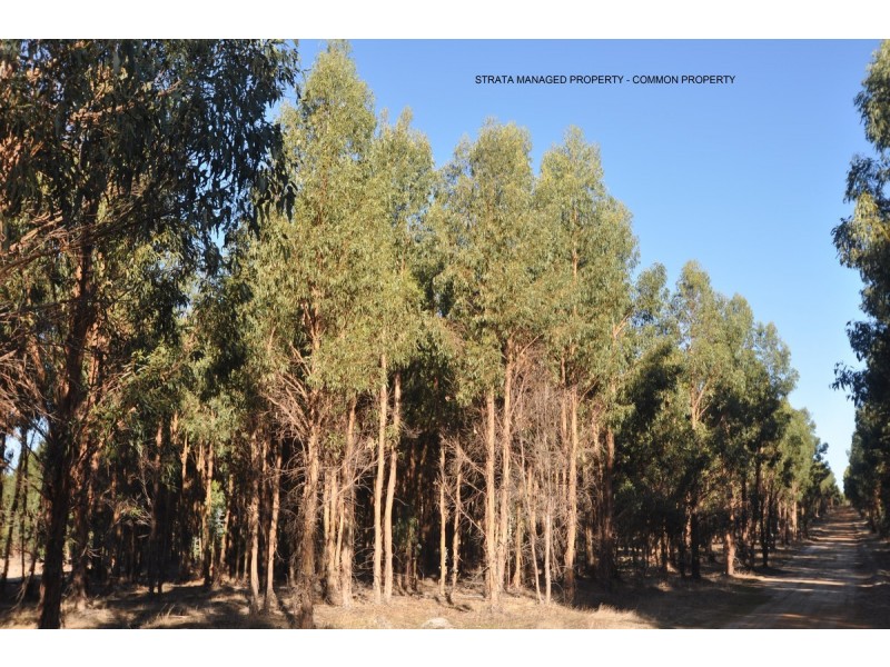 21 Folly Road, Frankland WA 6396