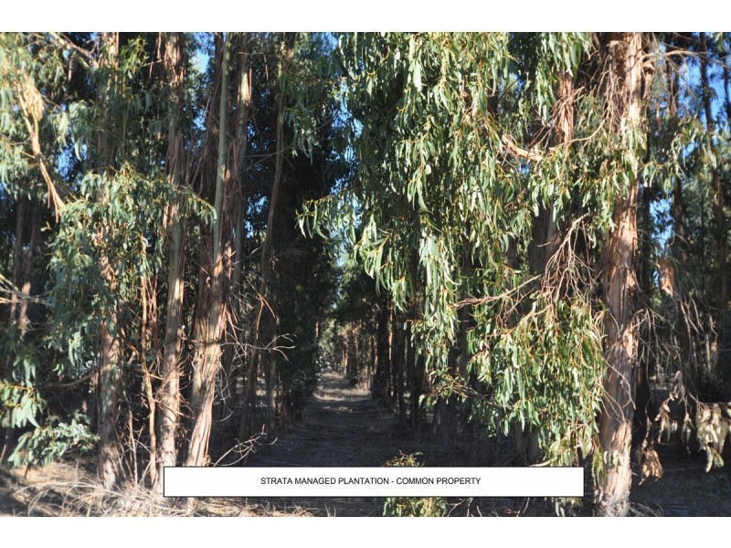 21 Folly Road, Frankland WA 6396