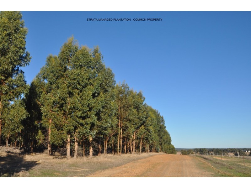 21 Folly Road, Frankland WA 6396